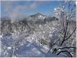 Polhov Gradec (Božna) - Polhograjska Grmada